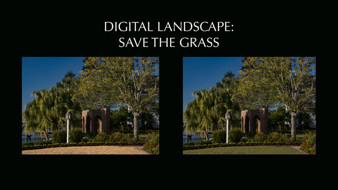 DIGITAL LANDSCAPE - SAVE THE GRASS